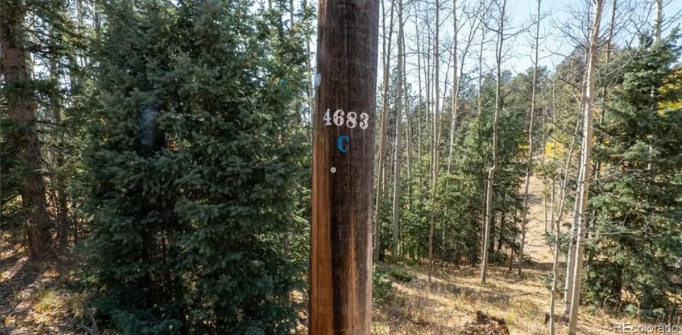 Commercial Property for Sale in Cripple Creek Colorado 80813